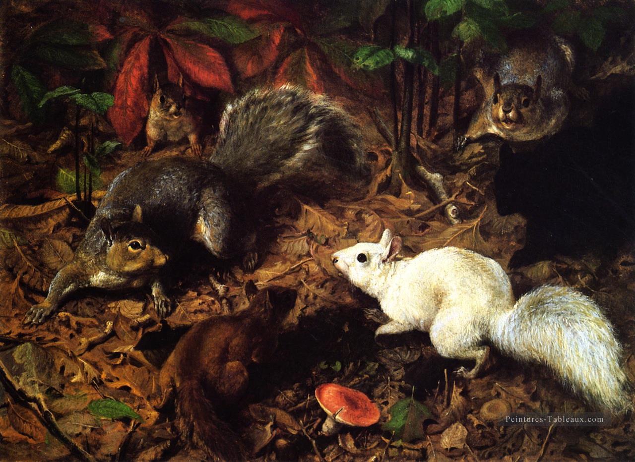 Écureuils connu sous le nom de l’écureuil blanc William Holbrook Beard Peintures à l'huile